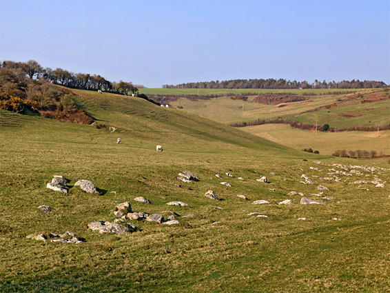 Sheep and sarsen stones