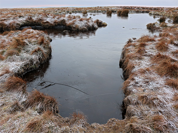 Frozen pool