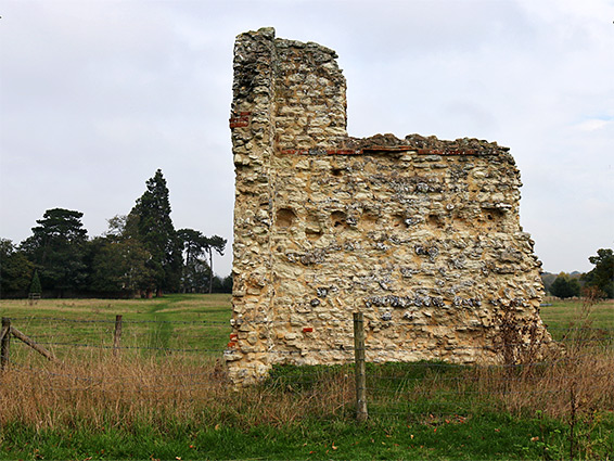 Clump of trees enclosing the burial chamber