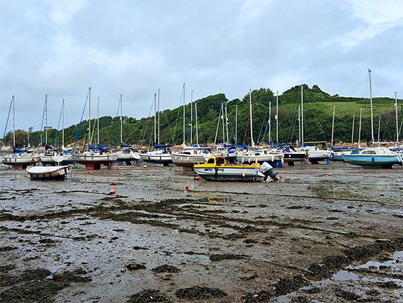 Boats at low tide