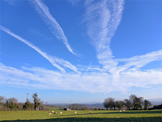 Field to the east