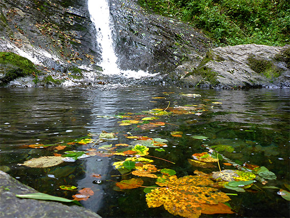 Pool below the falls