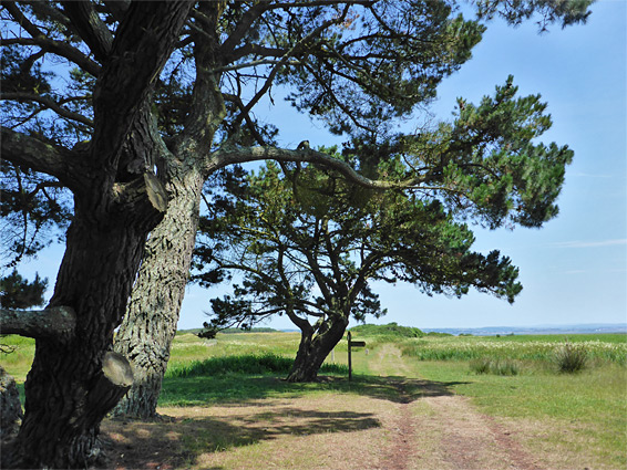 Whiteford National Nature Reserve