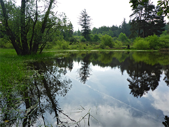 Calm water