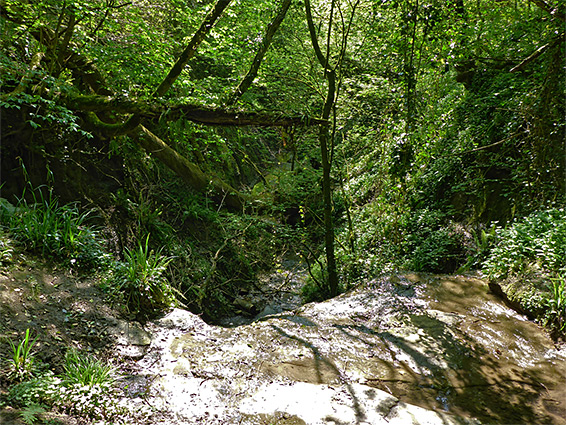 Brink of the waterfall