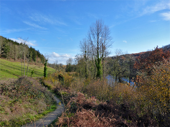 Field on the north side of Middle Pond
