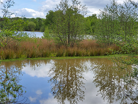 Woorgreens Lake