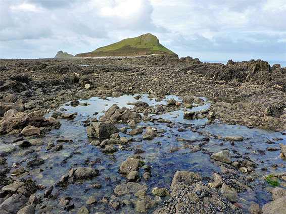 Shallow rock pool