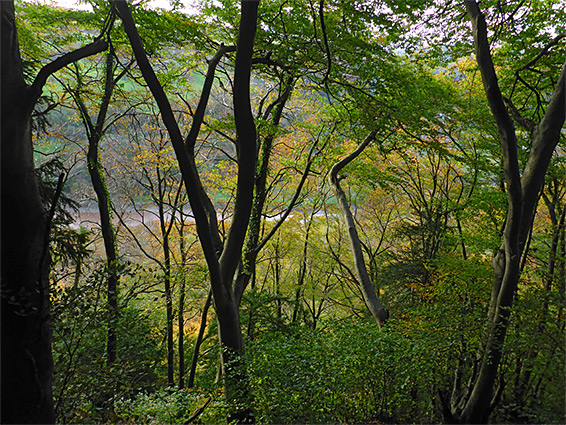 River Wye, in early autumn