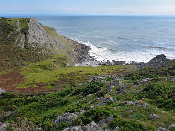 Grassland near Yellow Top Bay